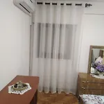 Do Silva Holiday home *