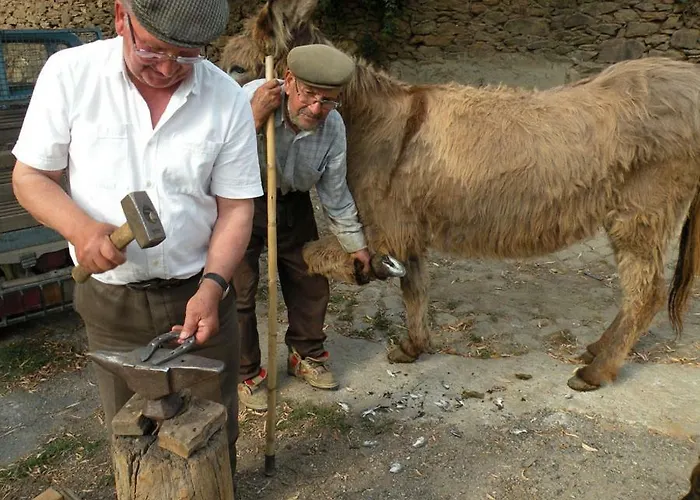 Do Silva Casa vacanze *