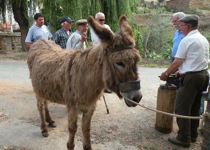 Casa vacanze Do Silva