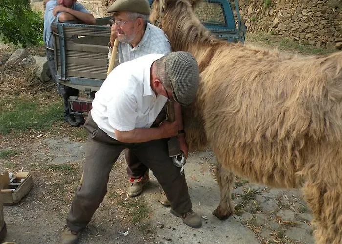 Casa vacanze Do Silva *