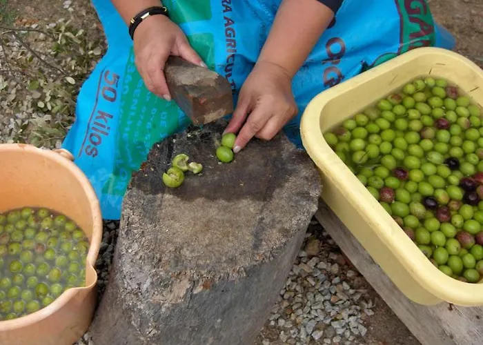 Casa vacanze Do Silva Mirandela